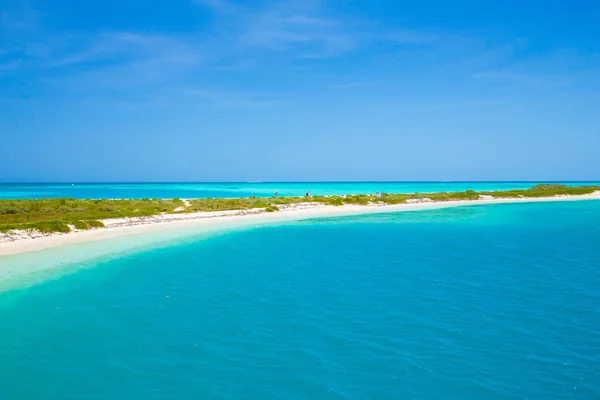 Zatoki Meksykańskiej Dry Tortugas National Park Floryda Usa — Zdjęcie stockowe