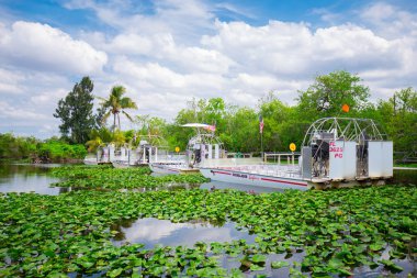 turistler, Everglades Ulusal Park, Florida, ABD 