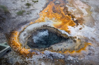 Yellowstone Milli Parkı, Wyoming, ABD güzel Şofben