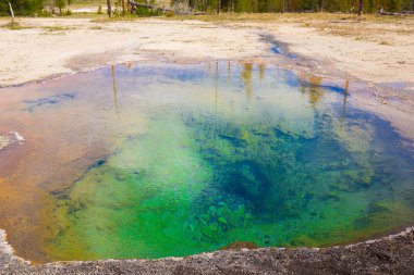 Yellowstone Milli Parkı, Wyoming, ABD güzel Şofben