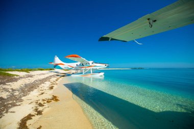 uçak üzerinde plaj, Meksika Körfezi'nde Kuru Tortugas Milli Parkı, Florida, ABD