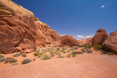 Kırmızı kayalar ve dağlar, Arches National Park, çöl vadi, Utah, ABD