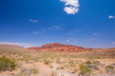 Kırmızı kayalar ve dağlar, Arches National Park, çöl vadi, Utah, ABD