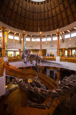 Orlando, Florida, ABD - 11 Mart 2017: Jurassic Park'taki dinozor iskeletleri Macera Adaları'nda işaret ediyor