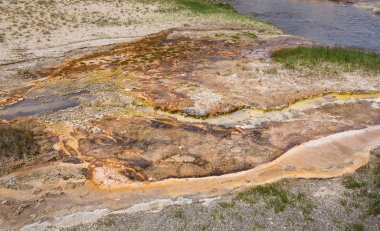 Yellowstone Milli Parkı, Wyoming, ABD güzel Şofben