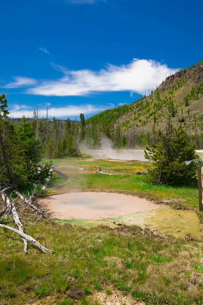 Gejzer Piękny Yellowstone National Park Wyoming Stany Zjednoczone Ameryki — Zdjęcie stockowe