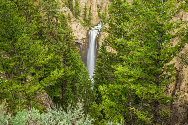 Cachoeira Parque Nacional Yellowstone Wyoming Eua — Fotografia de Stock