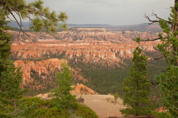 Krásná Krajina Red Rock Canyon National Conservation Area Nevada Usa — Stock fotografie