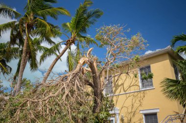 Miami Beach, Florida, ABD - 11 Eylül 2017: Irma Kasırgası'ndan sonra City Miami Beach