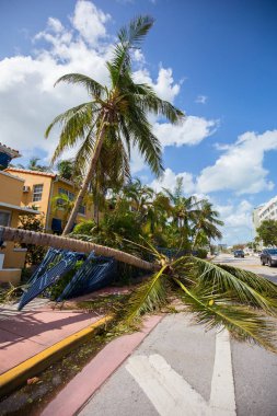 Miami Beach, Florida, ABD - 11 Eylül 2017: Irma Kasırgası'ndan sonra City Miami Beach