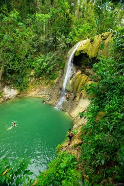 Insanlar Porto Riko Vahşi yağmur ormanları şelale yakınında yüzme