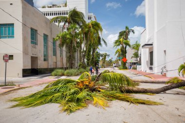 Miami Beach, Florida, ABD - 11 Eylül 2017: Irma Kasırgası'ndan sonra City Miami Beach