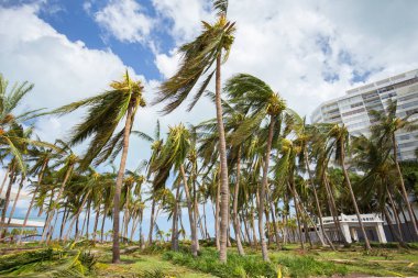 Miami Beach, Florida, ABD - 11 Eylül 2017: Irma Kasırgası'ndan sonra City Miami Beach
