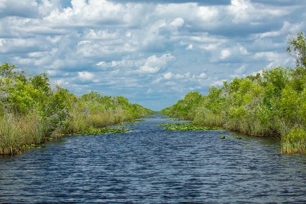 Everglades National Park, Big Cypress National Preserve, Florida, USA