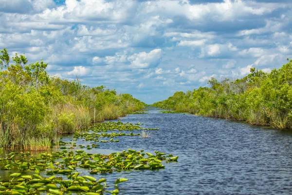 Everglades National Park, Big Cypress National Preserve, Florida, USA