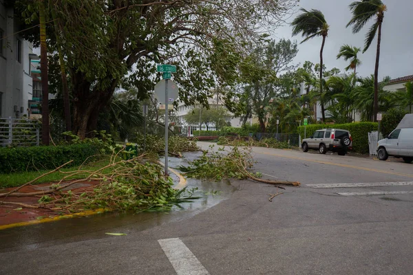 Miami Beach, Florida, ABD - 11 Eylül 2017: Irma Kasırgası'ndan sonra City Miami Beach