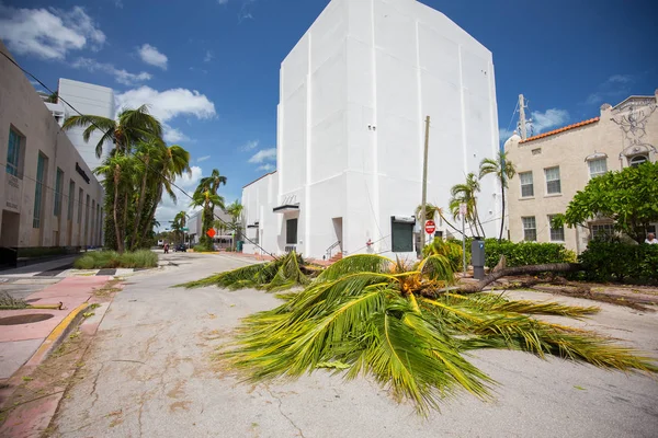 Miami Beach Florida Septiembre 2017 City Miami Beach Después Del — Foto de Stock