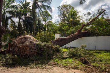 Miami Beach, Florida, ABD - 11 Eylül 2017: Irma Kasırgası'ndan sonra City Miami Beach