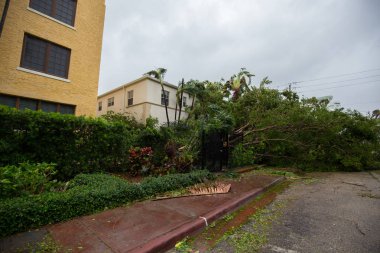 Miami Beach, Florida, ABD - 11 Eylül 2017: Irma Kasırgası'ndan sonra City Miami Beach