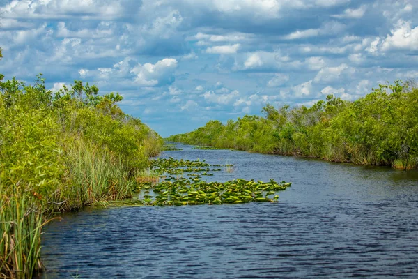 Everglades National Park, Big Cypress National Preserve, Florida, USA