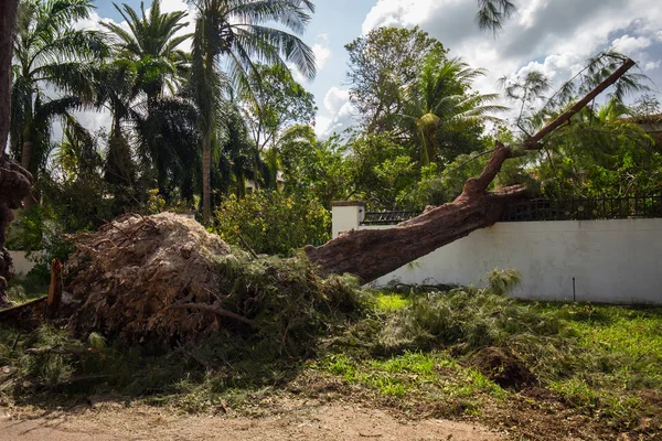 Miami Beach, Florida, ABD - 11 Eylül 2017: Irma Kasırgası'ndan sonra City Miami Beach