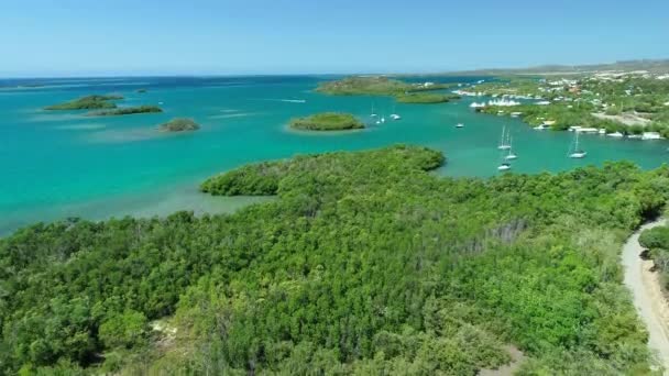 Flygvy Över Vackra Puerto Rico Kusten Öar Och Karibiska Havet — Stockvideo