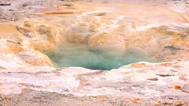 Närbild Vackra Geyser Yellowstone National Park Wyoming Usa — Stockvideo