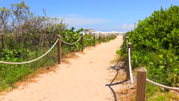 Väg Till Stranden Blå Himmel Och Atlanten Bakgrunden Miami Beach — Stockvideo