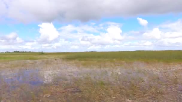 Paisaje Del Parque Nacional Los Everglades Big Cypress National Preserve — Vídeos de Stock