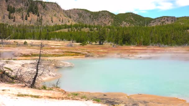 Belo Gêiser Parque Nacional Yellowstone Wyoming Eua — Vídeo de Stock