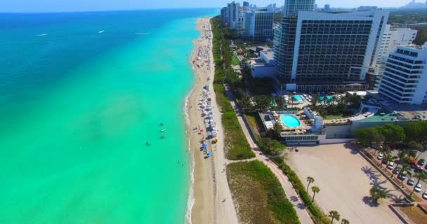 Αεροφωτογραφία Του South Beach Miami Beach Φλόριντα Ηπα — Αρχείο Βίντεο