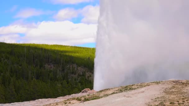 Vackra Gejser Yellowstone National Park Wyoming Usa — Stockvideo