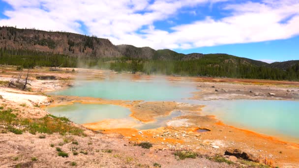 Magnifique Geyser Dans Yellowstone National Park Wyoming Usa — Video