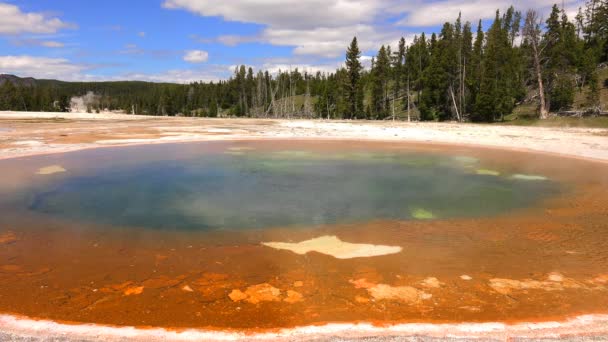 Gyönyörű Gejzír Yellowstone Nemzeti Parkban Wyoming Amerikai Egyesült Államok — Stock videók
