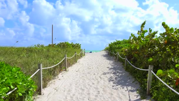 Weg Zum Strand Blauer Himmel Und Atlantik Hintergrund Mami Beach — Stockvideo