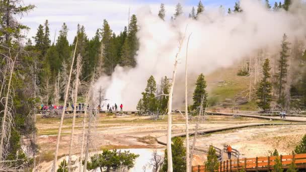 Personnes Près Geyser Dans Yellowstone National Park Wyoming Usa — Video