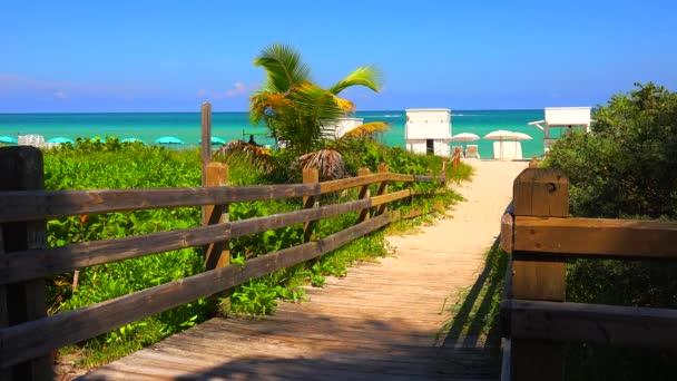 Camino Playa Cielo Azul Océano Atlántico Fondo Miami Beach South — Vídeos de Stock