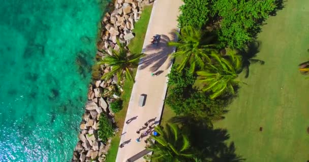 Вид Південного Пляжу Майамі Біч Флорида Сша — стокове відео