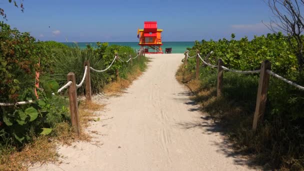 Rettungsschwimmturm Farbenfrohen Art Deco Stil Mit Blauem Himmel Und Atlantik — Stockvideo