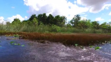 Everglades National Park, Big Cypress National Preserve, Florida, Abd