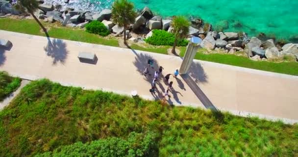 Luchtfoto Van South Beach Miami Beach Florida Vsa — Stockvideo