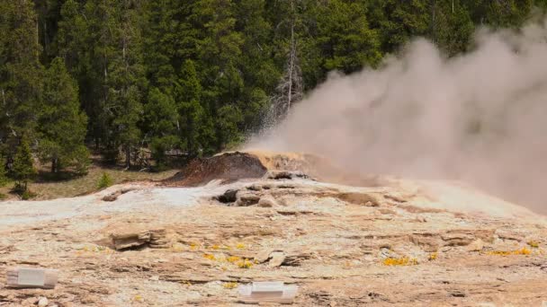 Magnifique Geyser Dans Yellowstone National Park Wyoming Usa — Video