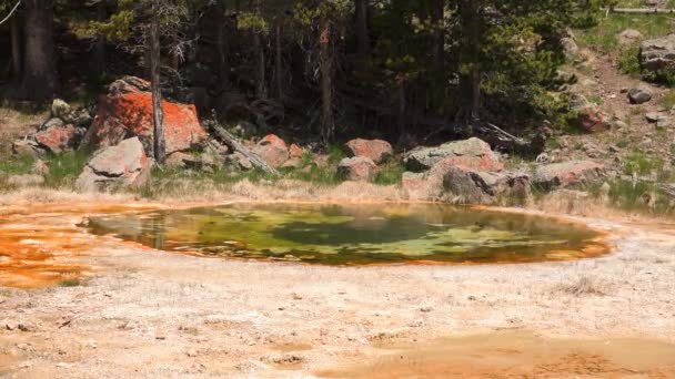 Vackra Gejser Yellowstone National Park Wyoming Usa — Stockvideo