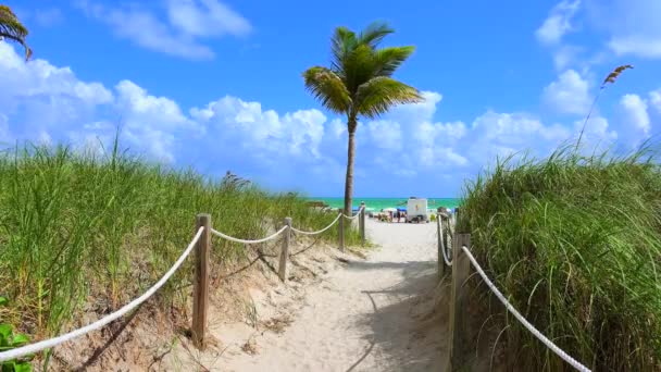 Pad Naar Strand Blauwe Lucht Atlantische Oceaan Achtergrond Miami Beach — Stockvideo