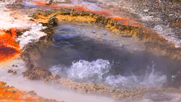 Gros Plan Magnifique Geyser Dans Parc National Yellowstone Wyoming États — Video