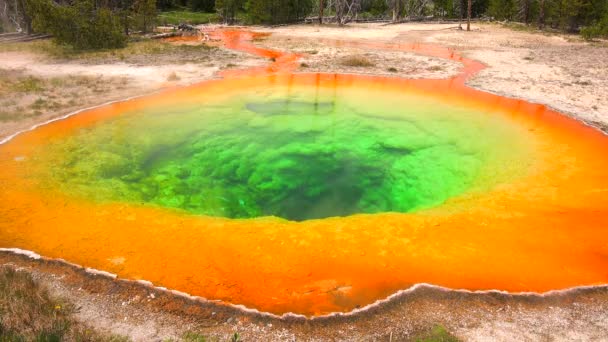 Beautiful Glory Geyser Yellowstone National Park Wyoming Usa — Stock Video