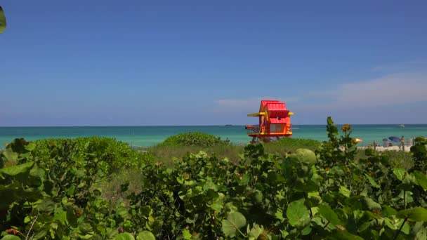 Lifeguard Tower Colorful Art Deco Style Blue Sky Atlantic Ocean — Stock Video