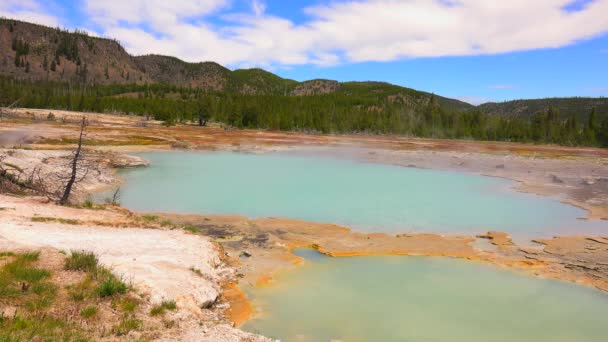 Gejzer Piękny Yellowstone National Park Wyoming Stany Zjednoczone Ameryki — Wideo stockowe