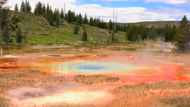 Gejzer Piękny Yellowstone National Park Wyoming Stany Zjednoczone Ameryki — Wideo stockowe