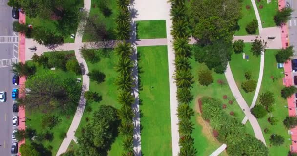Aerial View South Beach Miami Beach Florida Usa — Stock Video
